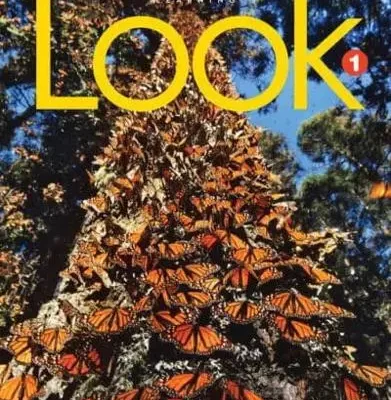 LOOK BRE 1 STUDENT BOOK