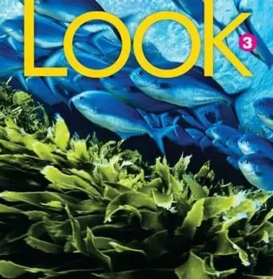 LOOK BRE 3 STUDENT BOOK